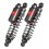 WMT Series rear shocks BITUBO /13101508/