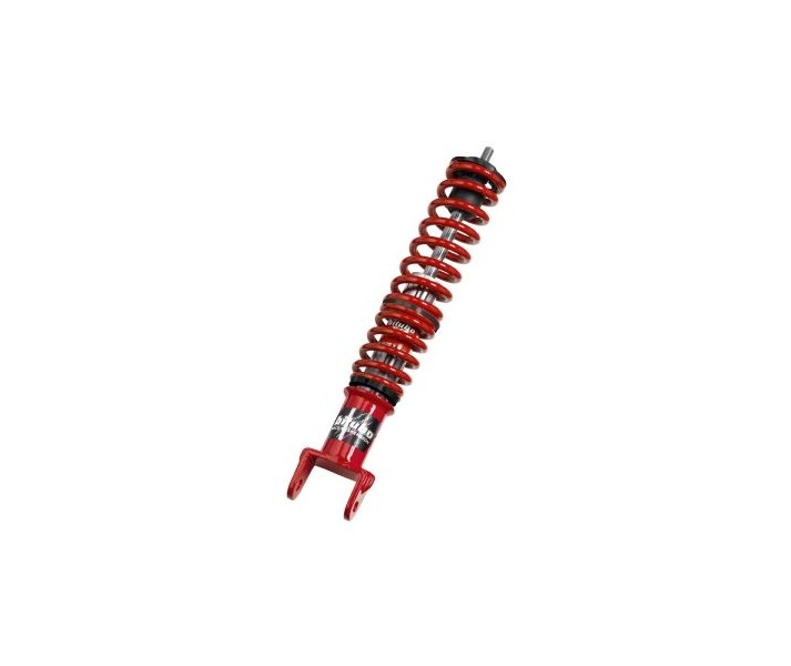 Rear Shocks w/springs BITUBO /13102075/