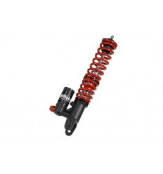 Rear Shocks w/springs BITUBO /13102076/