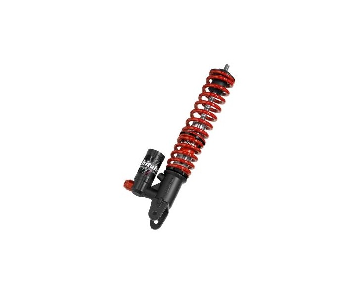 Rear Shocks w/springs BITUBO /13102078/