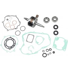 Kit reparación parte baja motor HOT RODS /09210537/