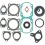 Complete Engine Gasket Set WINDEROSA /711142C/