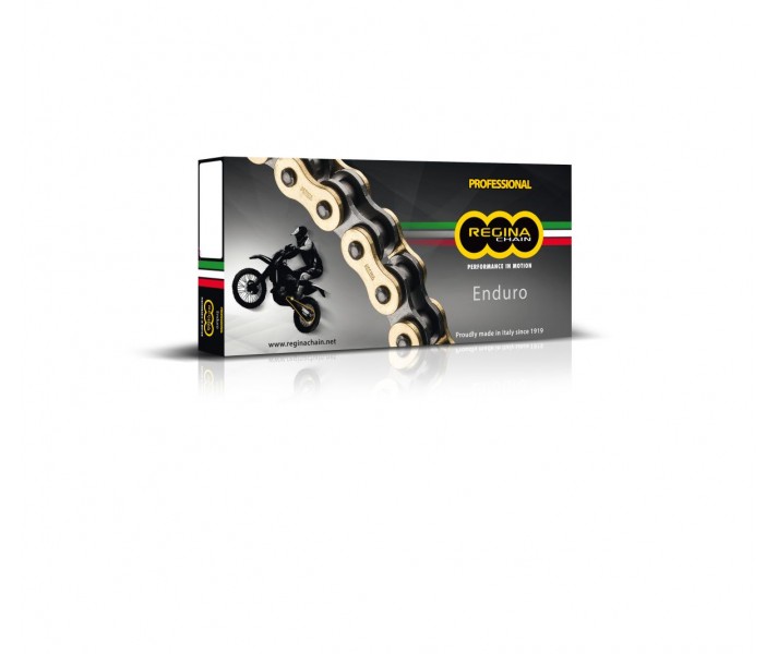 Cadenas 520Zre Z-Ring Regina /12240126/