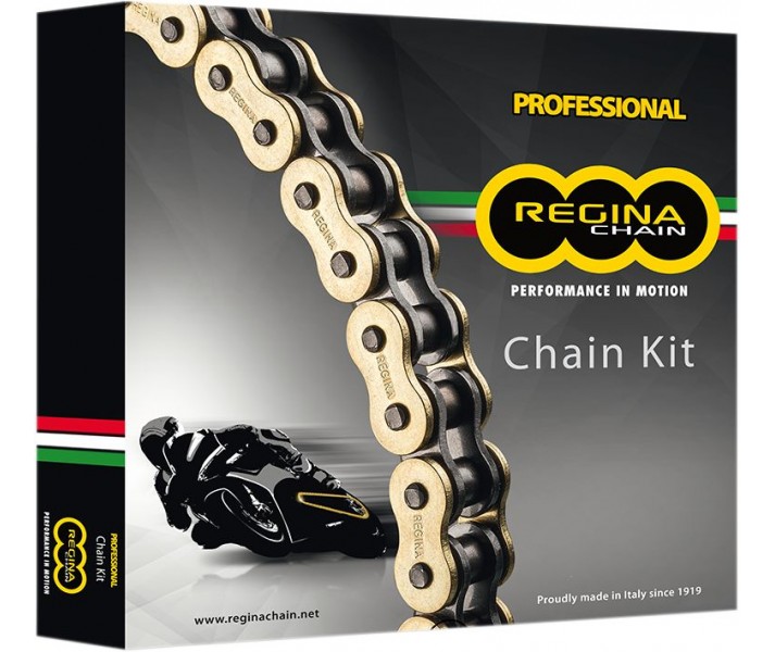 525 ZRP Chain And Sprocket Kit Regina /12301439/