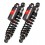 WMT Series rear shocks BITUBO /13101472/