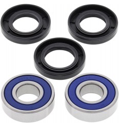 Kit de rodamientos de rueda ALL BALLS /02150124/