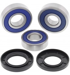 Kit de rodamientos de rueda ALL BALLS /02150822/