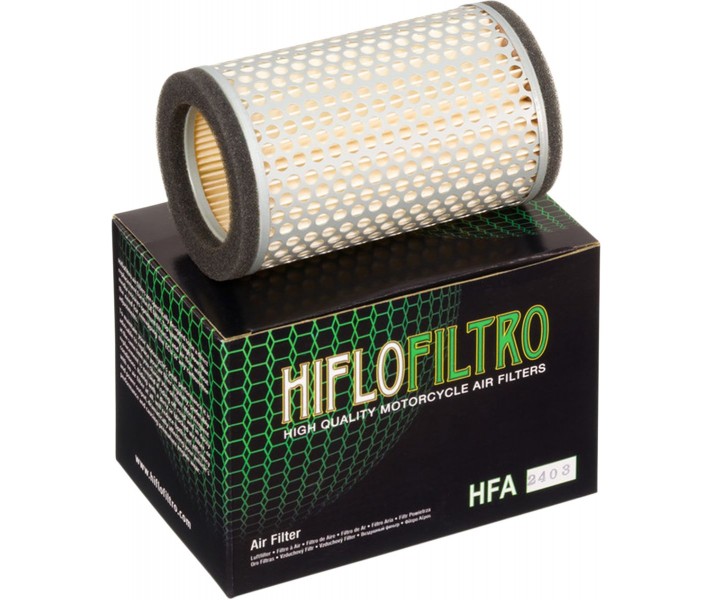 Filtro de aire de recambio OEM HIFLO FILTRO /10110360/