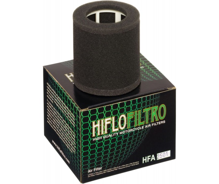 Filtro de aire de recambio OEM HIFLO FILTRO /10110361/