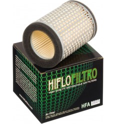 Filtro de aire de recambio OEM HIFLO FILTRO /10110363/