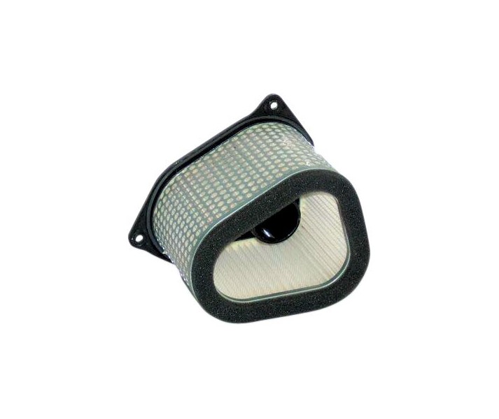 Filtro de aire de recambio OEM HIFLO FILTRO /10110378/