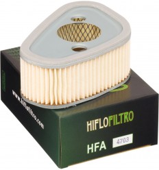 Filtro de aire de recambio OEM HIFLO FILTRO /10110384/