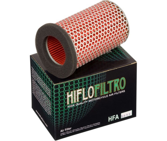 Filtro de aire de recambio OEM HIFLO FILTRO /10110501/