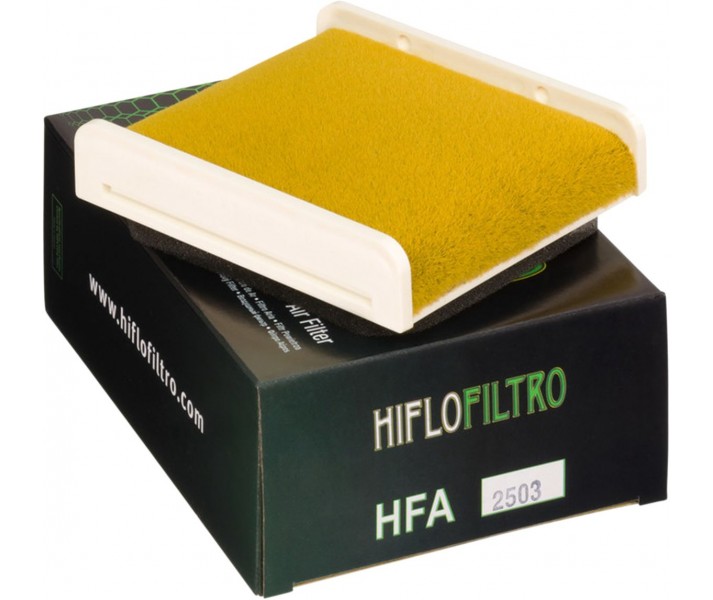 Filtro de aire de recambio OEM HIFLO FILTRO /10110505/