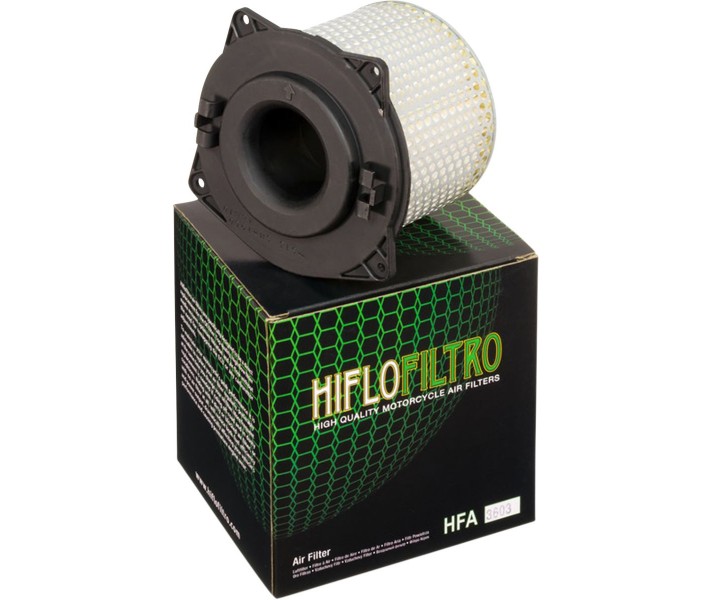 Filtro de aire de recambio OEM HIFLO FILTRO /10110673/