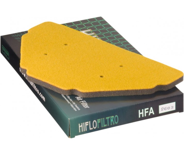 Filtro de aire de recambio OEM HIFLO FILTRO /10111209/