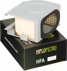 Filtro de aire de recambio OEM HIFLO FILTRO /10111791/