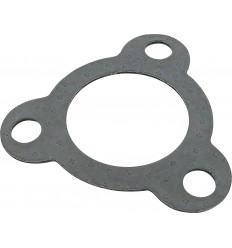 Exhaust Gasket LEO VINCE /18602297/