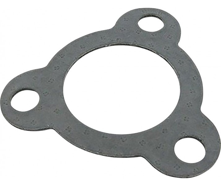 Exhaust Gasket LEO VINCE /18602297/